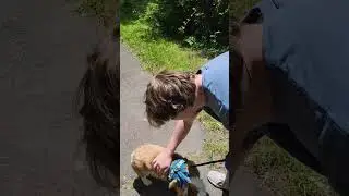 Names I Call My Dog That He Responses Too