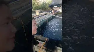 Mapa wow ka sa daming isda.