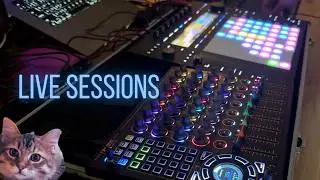 Live Sessions // 12th April 2026 // Speakeasy Presents