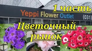 Рынок цветов.1 часть.