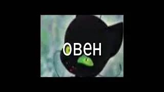 Гороскоп леди баг и супер кот