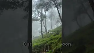 Best Monsoon Ride Near Kathmandu, NEPAL 🇳🇵 #travel #short #shorts #roamingaroundnepal #viral