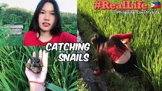 🇵🇭 HOW FILIPINA LIVES IN PHILIPPINE COUNTRYSIDE, KUHOL, CATCHING SNAILS, EDIBLE SNAILS