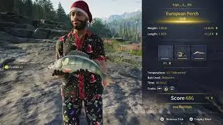 Nokkensjoen Fishing Challenge 12 | Call of the wild: The angler (PS5)