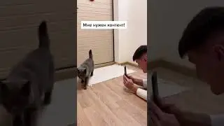 Когда закончились идеи для видео)