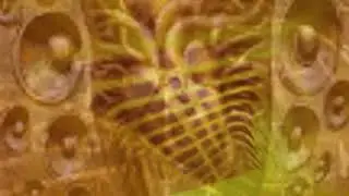 GALLIUM - All I Wanna | Remix