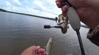 NEO LINE 0.1-2  и мормышка!