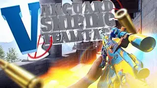 Zanity: Vangaurd Sniping Teamtage By VBS and Revertz