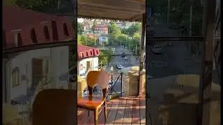 Новости 🗞️ 