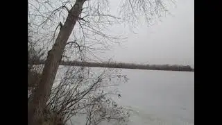 24.02.21. Мои достижения на сегодня. Дневник успеха. Евгений Денчик.