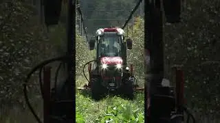 Antonio Carraro 8700 V