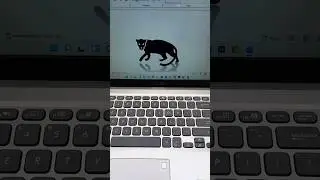 TIGER 🐅 MS Word Symbol Shortcut Key 