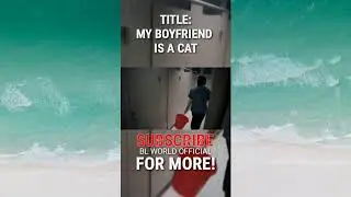 MY BOYFRIEND IS A CAT | KOREAN BL DRAMA | MY BOYFRIEND CAT