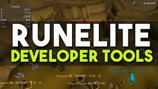 How to Enable Developer Tools in Runelite! Detached Camera, Ground Objects, Ground Items! [OSRS]