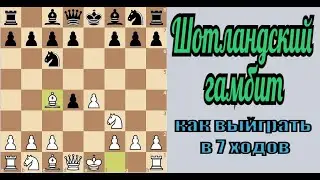 Шотландский гамбит|Дебютная ловушка|как поставить быстрый мат в 7 ходов|шахматы|chess