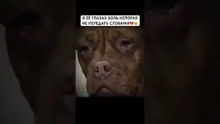 Душа умирает😥
