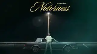 Notorious - Sultaan X Jay Trak (Official Audio)