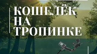 Нашёл кошелёк на старой тропинке.