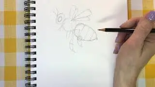 How to Draw a Bee