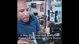 Stanford's multi-finger gecko gripper could soon help astronauts grasp