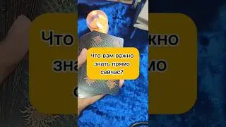 Для личного расклада вотсаб +79500504520