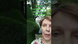 встречи в нашей жизни