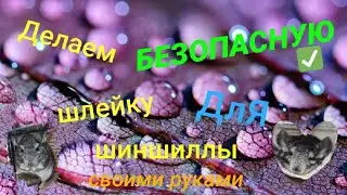 БЕЗОПАСНАЯ шлейка для шиншиллы своими руками. *очень просто*