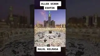 @user-qz2ki1yn1b