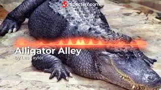 Alligator by Alley Les Taylor (Rehearsal Track)