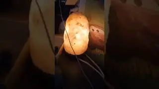 Ой... ПЛАГИТАЫ ВЫ ЗАДОЛБ- @kotkotok444