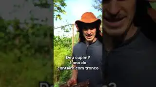1 ano do canteiro permanente na horta