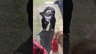 хпхпхппхпхахпхпхахахпаххаахахахааахаххпххппхпхх