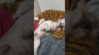 а вы умеете отдыхать?