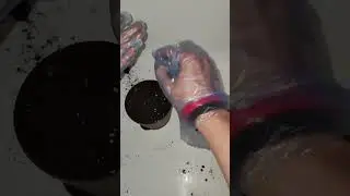 Посадка острых перцев