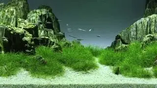 The Aquascaper 1500 - Mountainscape