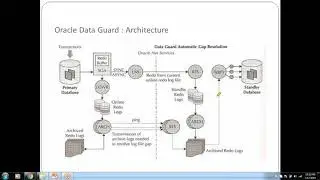 Oracle DataGuard Architecture