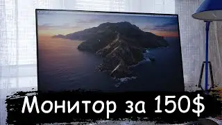 Лучший монитор 24