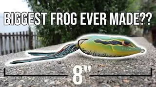 Can I Catch A Fish On This GIANT Frog!? Spro King Daddy Bait Challenge
