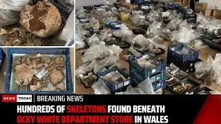 Hundreds of skeletons found beneath Ocky White department store in Wales  | News Today