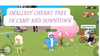 smallest cherry tree in downtown and camping | cherry blossom event in play together #playtogether