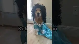 Halloween Costume compilation