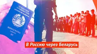 Трудовая миграция: в Россию через Беларусь