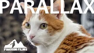 Parallax - Fotografia 2.5D
