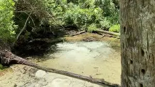 Springs Boils 