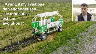 [Témoignage] Un robot viticole en coopérative à Segonzac-Chérac