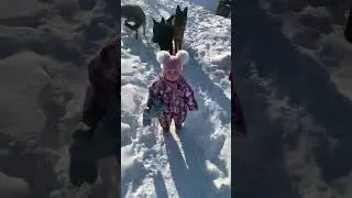 Вся банда в сборе 😃