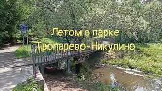 Лето в парке Тропарево-Никулино (2023г).