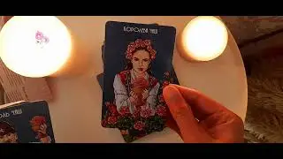 Обзор колод таро. часть 1. My tarot collection 🕊💖