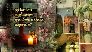 සීතල වැහි දවසක කුස්සිය පොඩි වෙනස්කමක් කරමුද? | Let's decorate and organize my kitchen on a rainy day