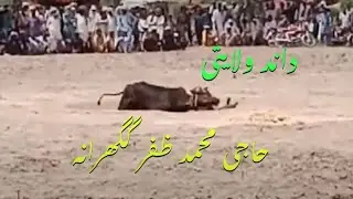 Bull Race Pakistan Haji M Zafar Gagrana Jalsa 2 Minti Phairy 54.25 Dand Neela and Walaiti